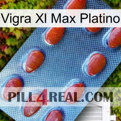 Vigra Xl Max Platinum 06